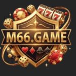 M66 game