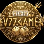 v77 game